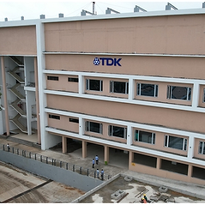 TDK India